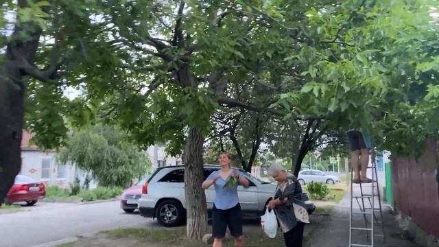 Кулинарные Испытания