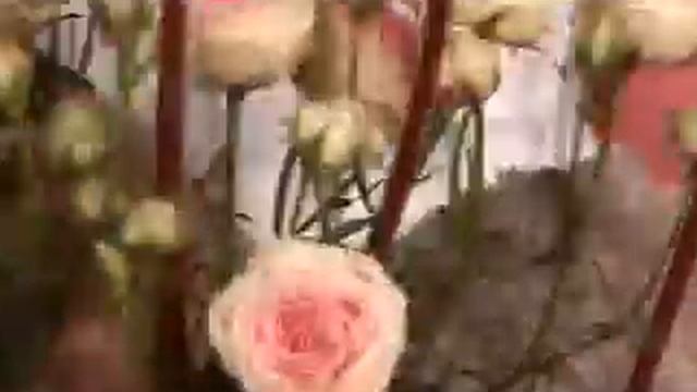 Гид по стилю hand made 8 марта смотреть онлайн
