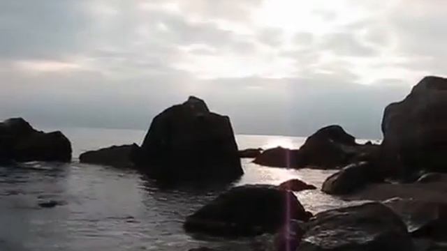 Ёжик и море смотреть онлайн