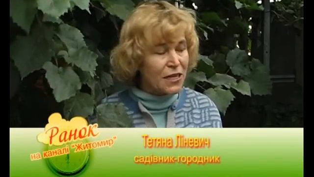 Фундук. Тетянина садиба 2013 смотреть онлайн