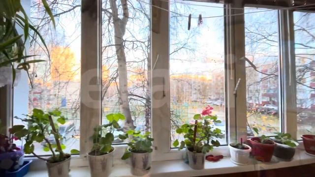 Мира, 32/1 смотреть онлайн