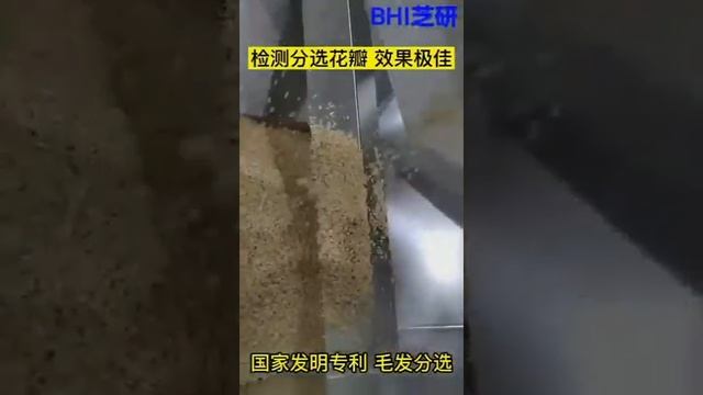 BHI машина для отбраковки волос, волокон и др смотреть онлайн