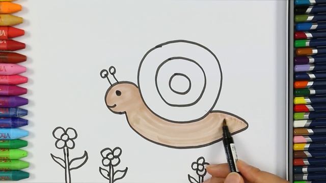 Как рисовать улитка с цветком ?- улитка с цветком раскраска -Как рисовать и цвет смотреть онлайн