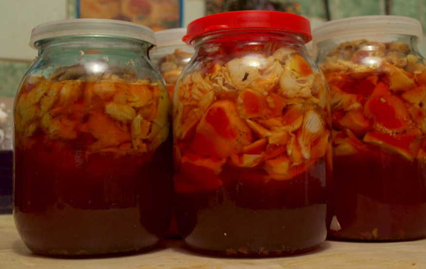 Настойка на мухоморах по старообрядческому рецепту ( для НАРУЖНОГО ПРИМЕНЕНИЯ). смотреть онлайн