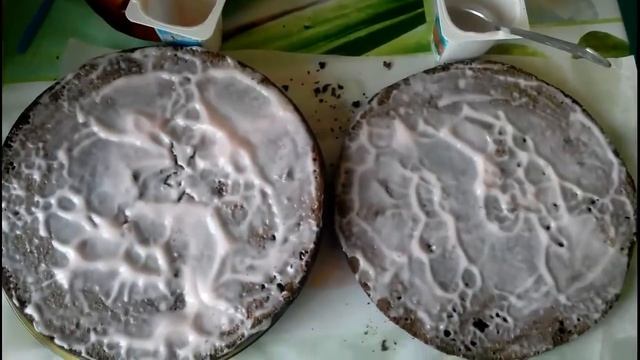 Как украсить черемуховый торт смотреть онлайн