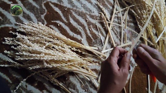cutting palm cluster/ASMR video with 3D sound смотреть онлайн
