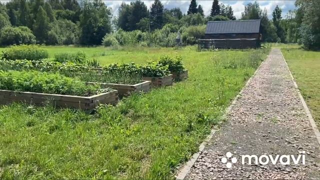 VLOG | ВЕЛИКИЙ УСТЮГ | ЭКО-ПАРК НОВЫЕ КУЗЬМИНКИ | отпуск на Севере смотреть онлайн