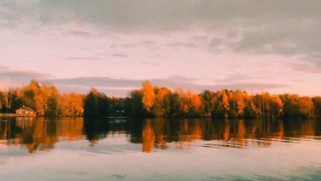 Новокемский, октябрь 2022, поездка к друзьям в отпуске. Рыбалка, грибы, ягоды, лес, болото, природа