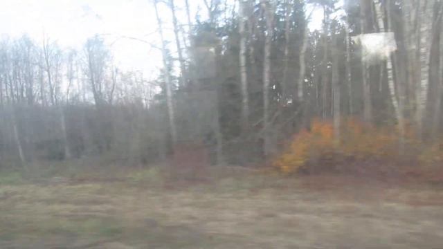 Вид из окна поезда Кричев - Могилев станции Чаусы и Благавичи смотреть онлайн
