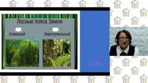 10 Класс. География. Халилова К.М. Тема: «Химическая и лесная промышленность».