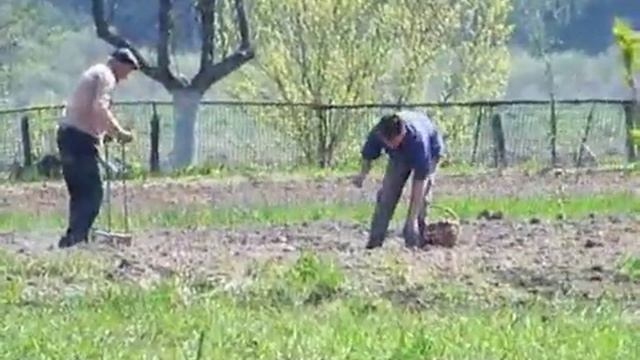 Берите лопату в руки - советовал Азаров смотреть онлайн