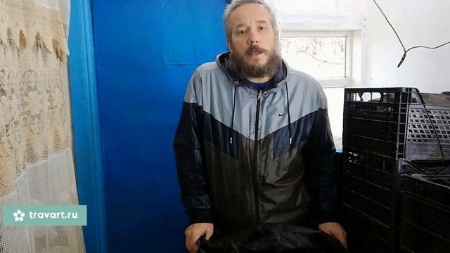 Бизнес в деревне Разведение червей 6 месяцев спустя Жизнь в деревне ТРАВАРТ  Андрей Протопопов 2714