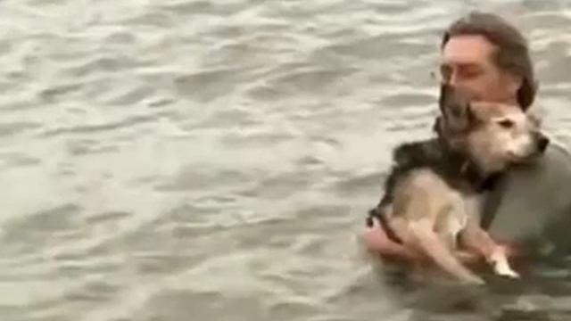 Джон Ангер и Шеп смотреть онлайн