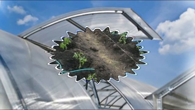 Теплица - чтобы не было конденсата смотреть онлайн