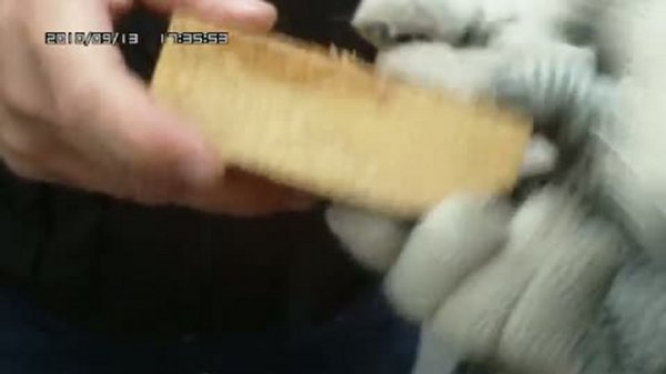 streamer 2014 и доска 5 см