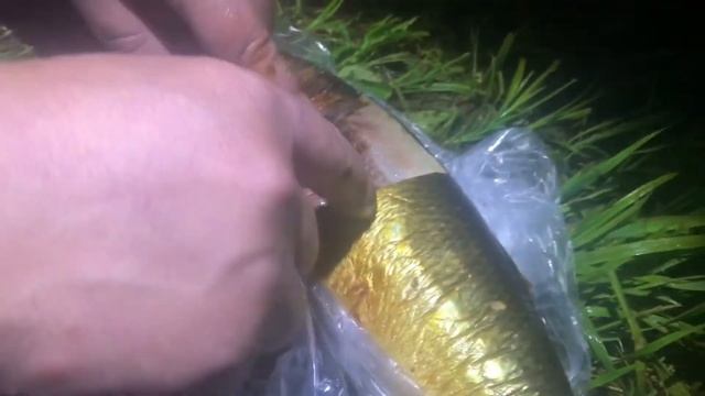 24.06.17 Мастер класс от Валеры, специальная приманка на осетра смотреть онлайн