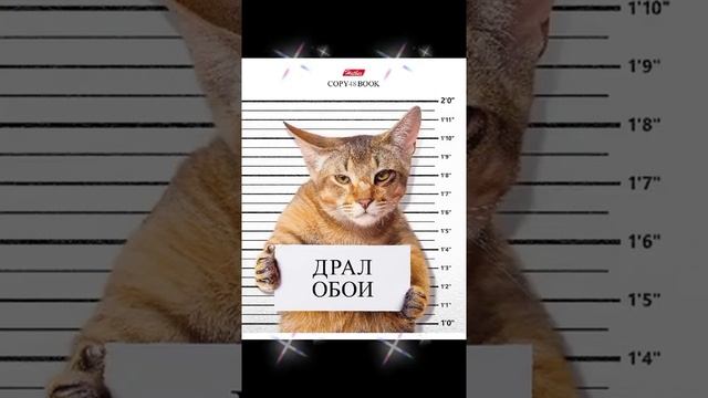 Его авторитет был огромен.... приколы ТИк Ток смотреть онлайн
