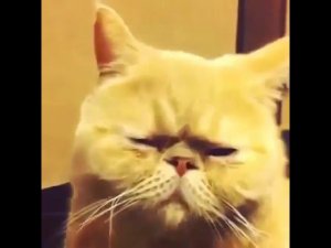 Не унывайте пацаны!!!