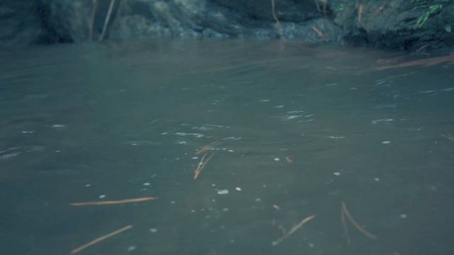 Nuova gamma videocamere Full HD e 4K impermeabili JVC EVERIO R 2018 смотреть онлайн