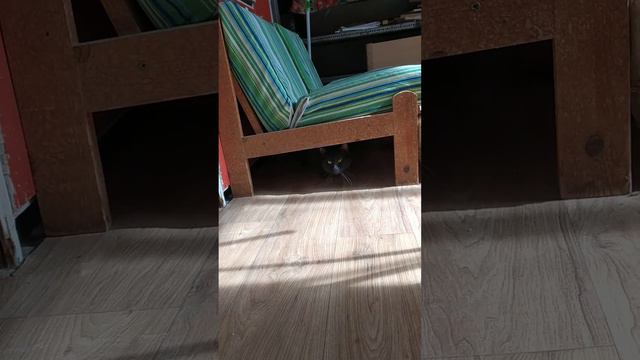 Max смотреть онлайн