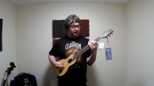 washburn rover travel guitar review and demo