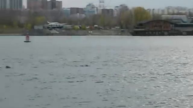 Новосибирская набережная реки Обь. смотреть онлайн