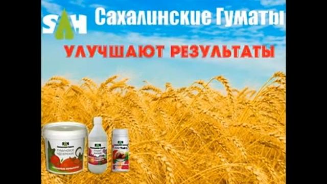 Сахалинские гуматы смотреть онлайн