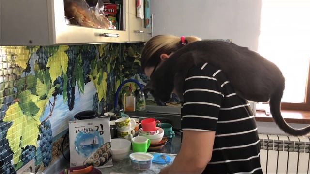 Милые кошки ??? @Iamdeaf смотреть онлайн