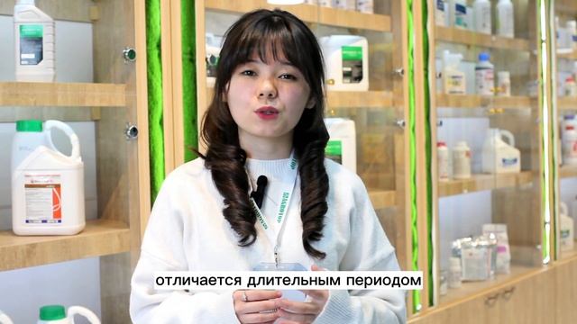 Айваз F1 - семена томатов от компании Enza Zaden. смотреть онлайн