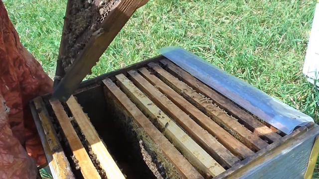 Как исправить трутовку Часть 2. Результат. смотреть онлайн