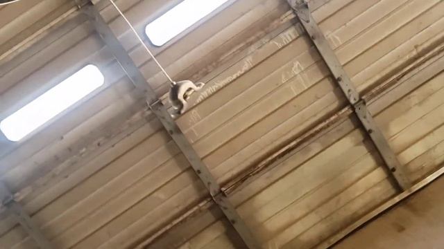 05 Ford Explorer Sport Trac Evap Canister Purge Valve Location