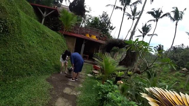Бали / Рисовые террасы / Rice Terraces Bali смотреть онлайн