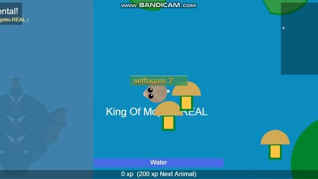 MOPE.IO // EASTER BUNNY COMES TO MOPE WORLD // COMMING SOON // TEASER #14 смотреть онлайн