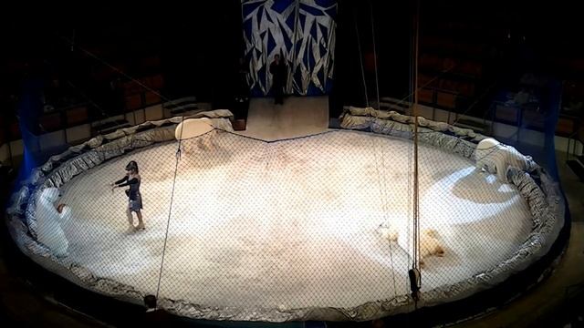 ЦИРК на льду Яны Шевченко «аттракцион Белые медведи» смотреть онлайн