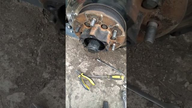 ZX Landmark шрус-подшипник