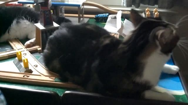 Git dat cat II смотреть онлайн