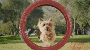 Реклама-презентация корм для собак "Purina One". "Федеральная Рекламная Группа"