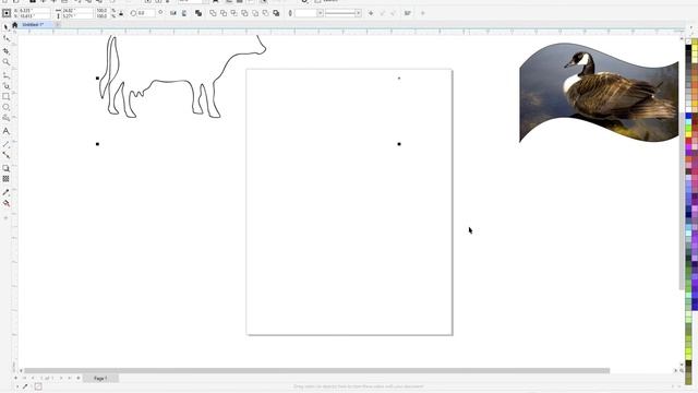 What is Powerclip and how to use it in CorelDraw 2021 смотреть онлайн