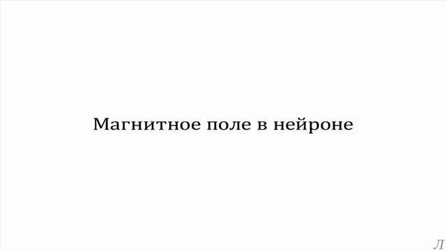 3.2 Параметры нервной системы. Магнитное поле в нейроне смотреть онлайн