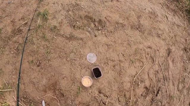 Рыбалка на донки река АХТУБА.В прилове САЗАН,карась,СУДАК и много ЧЕХОНИ. смотреть онлайн