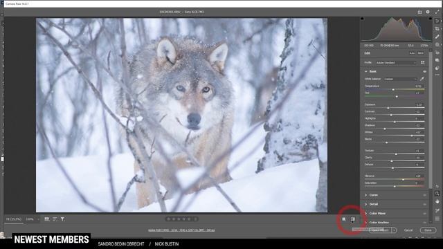 How to Edit WILDLIFE Photos in Photoshop смотреть онлайн