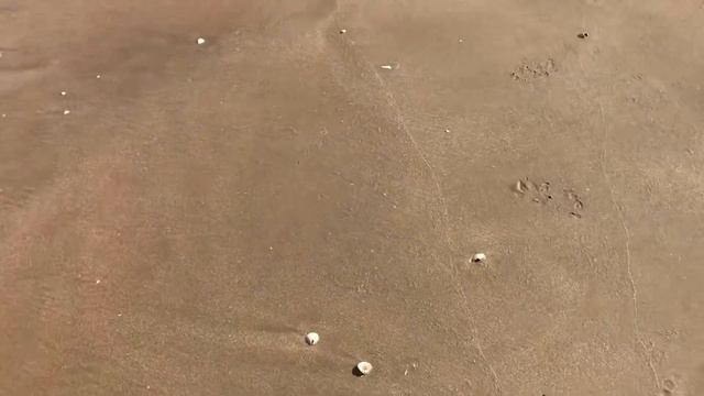 Как Американцы обожают таек смотреть онлайн