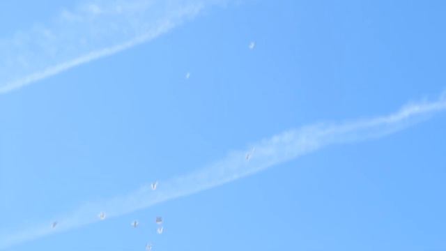 Без названия смотреть онлайн