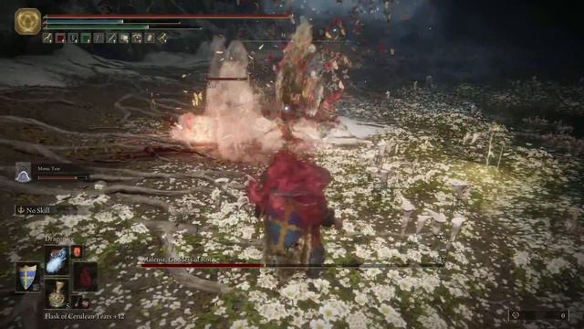 ELDEN RING. Malenia, Blade Of Miquella.