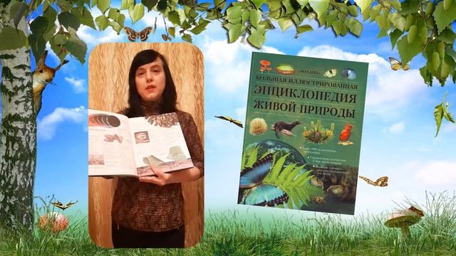 БОЛЬШАЯ ИЛЛЮСТРИРОВАННАЯ ЭНЦИКЛОПЕДИЯ ЖИВОЙ ПРИРОДЫ рекомендация смотреть онлайн