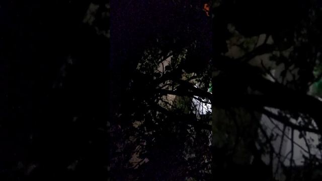 1:00 Каждую ночь шум под окнами ТЦ Гудзон Симферополь смотреть онлайн
