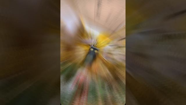 Подарок учителю на 1 сентября. Подарок воспитателю на 1 сентября.