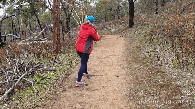 Зима и Кефир в Австралии - Житейские видеозарисовки смотреть онлайн