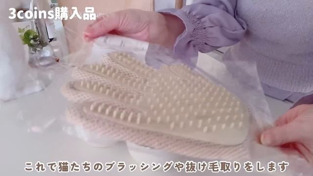 [夫婦と猫3匹の暮らし] 心地良く暮らすための主婦の購入品＆収納/初めての蒸籠蒸し/娘の帰省／いっぱい猫、vlog смотреть онлайн