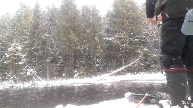 Форель на маленьком платнике смотреть онлайн